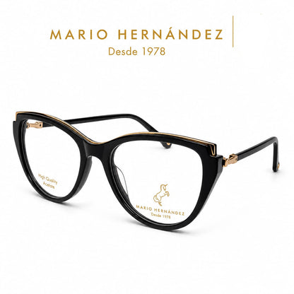 MARIO HERNANDEZ