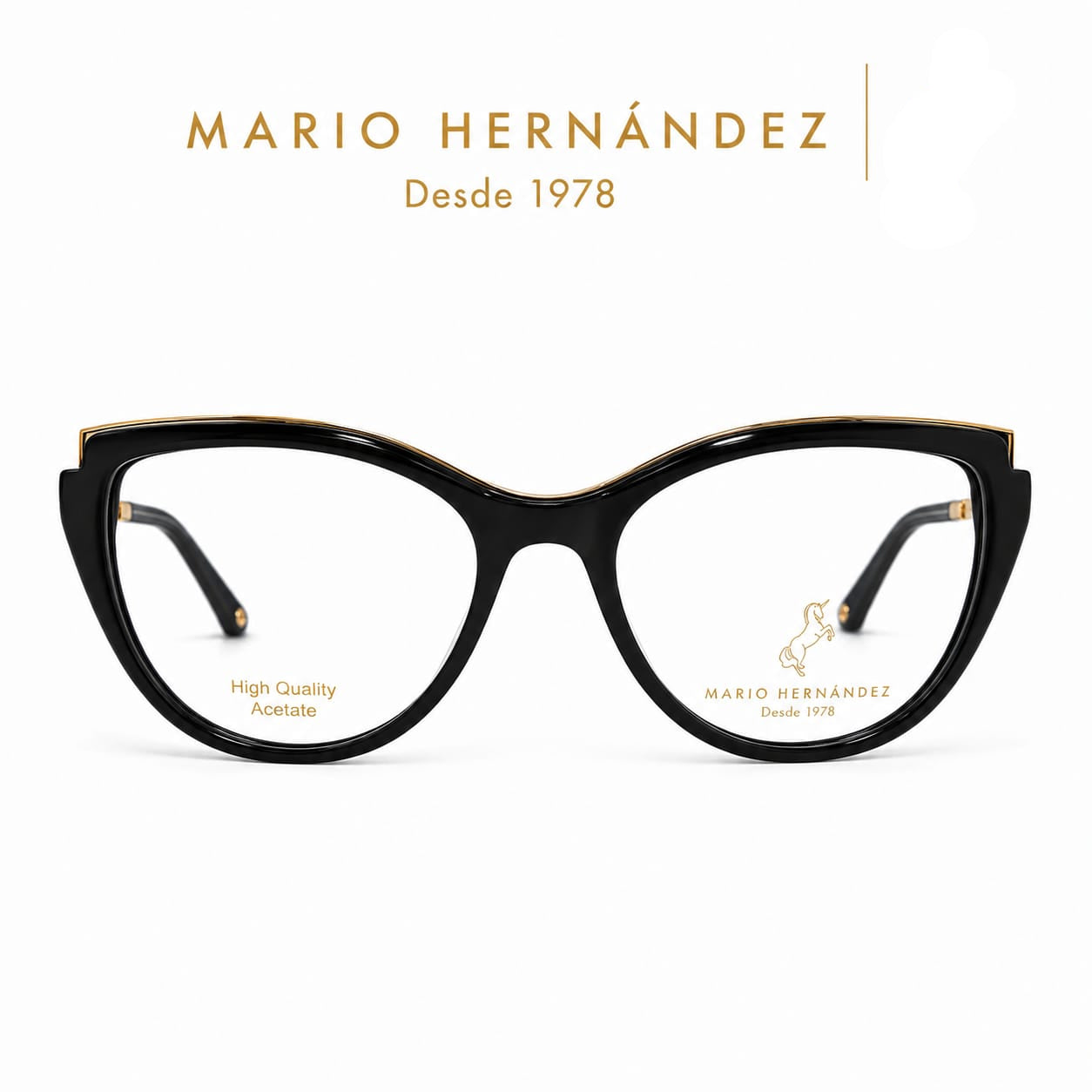 MARIO HERNANDEZ